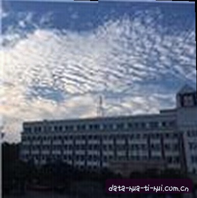 赵磊